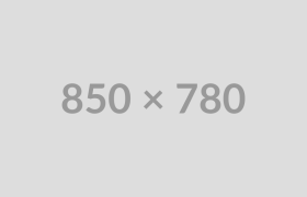 Data Analyst